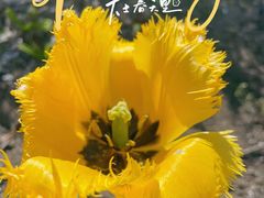 -黄兴公园