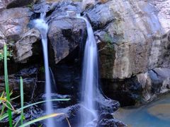 -广州白江湖森林公园