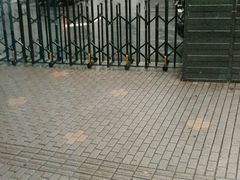 -上海交通大学医学院附属瑞金医院(总院)