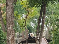 -武汉动物园