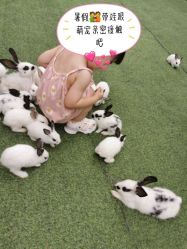 -萌宠亲子动物乐园(槐房万达店)