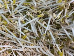 -华联商厦(火车站店)