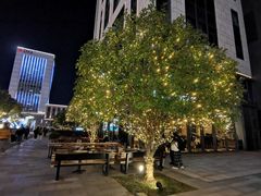 -百美汇影城(LUXE嘉里中心店)