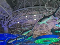 -烟台海昌鲸鲨海洋公园