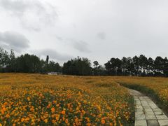 -云幽谷旅游区