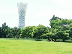 -上海滨江森林公园