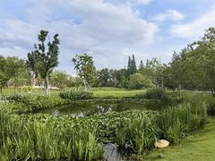 -昆山城市生态森林公园