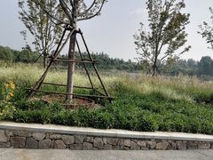 -东郊湿地公园