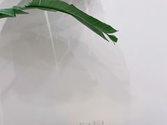 -echoes coffee回响咖啡(红山店)