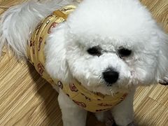 -FAELING PETS美天灵宠物(富力广场店)