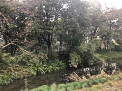 -西湖外事游船(花港观鱼码头)