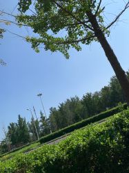 -HEYAN荷妍专业脱毛连锁机构