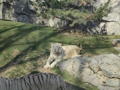 -北京野生动物园