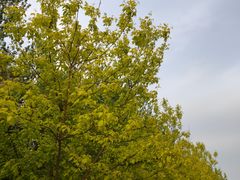 -白塔河路(地铁站)