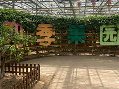 -上海都市菜园