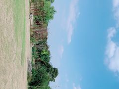 -鹅湖玫瑰文化园