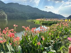 -广州市石门国家森林公园