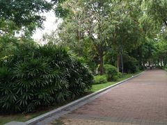 -怡海公园(桂城街道)