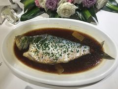 -西郊5号·Maggie 5