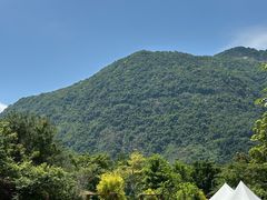 -广州市流溪河国家森林公园