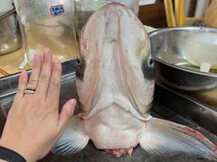 -春涛餐馆(下坝店)