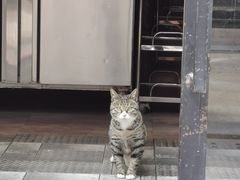 -韩聚屋韩国烤肉餐厅(新北万达店)