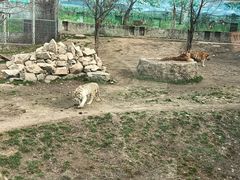 -西安秦岭野生动物园