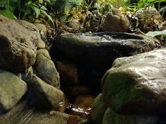 -观澜山水田园