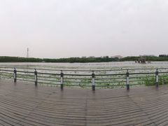 -大兴滨河森林公园