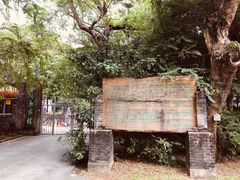 -同心泥烩鸡