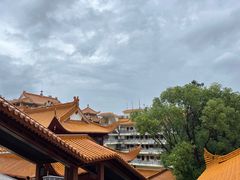 -深圳仙湖植物园
