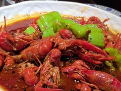 -京悦南门涮羊肉·羊蝎子火锅(田林路店)