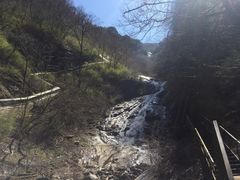 -青峰峡国家森林公园