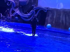 -华夏文旅海洋公园