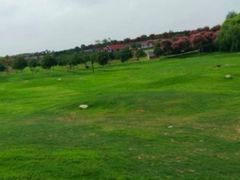 -武汉紫薇都市田园