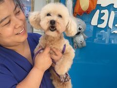 -萌兽医馆·宠物医院·猫骨科(创景店)