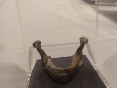 -北京周口店北京人遗址博物馆