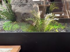 -绿茶餐厅(青岛城阳万象汇店)