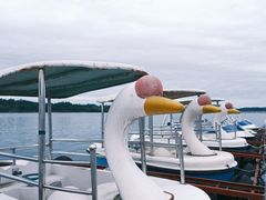 -仙海旅游度假区