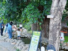 -云栖山谷露营地·团建年会·生日派对