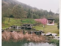 -敬亭山风景名胜区