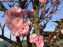 -仙海旅游度假区