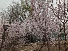 -元大都城垣遗址公园