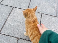 -杨老大焙子月饼干货(宽巷子民族美食街店)