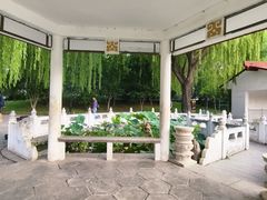 -丰台花园