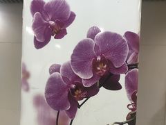 -伊犁路(地铁站)