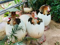 -呀路古热带植物园