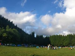 -武陵山森林公园