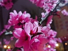 -南翠屏公园