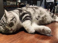 -咖法森林·咖啡  酒吧(天河店)